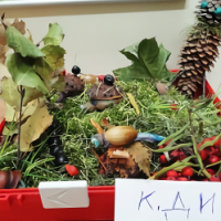 9199b25f-430e-4072-a1a6-41936cc0f7c7