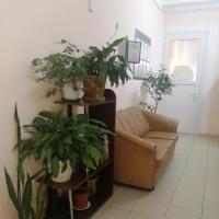 IMG_20220310_173420_resized_20220310_053916299